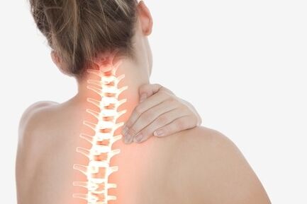 Neck bone and chondropathy